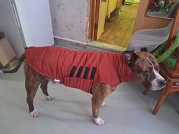 Пуховик Noble Pet Bobby Navy B4118/4XL (00001717) фото от покупателей 5