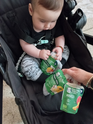 Пюре фруктове Gerber Organic Манго для дітей із 6 місяців 80 г (8445290167132) фото від покупців 4