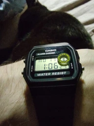 Наручные часы Casio F-94WA-8