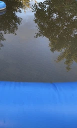 Средство для предупреждения образования водорослей в бассейне Альгекс Без запаха WWW 1л фото от покупателей 1