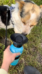 Дорожня напувалка для собак Aqua Dog 537 мл Блакитна фото від покупців 6