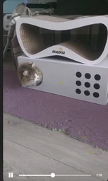 Когтеточка картонная Say Meow Grace, 67 см х 27 см х 24 см фото от покупателей 2