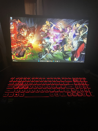 Ноутбук Acer Nitro 5 AN515-58-91U9 (NH.QM0EU.00S) Obsidian Black / 15.6" IPS QHD 165 Гц / Intel Core i9-12900H / nVidia GeForce RTX 4060, 8 ГБ / RAM 32 ГБ / SSD 1 ТБ / фото от покупателей 5