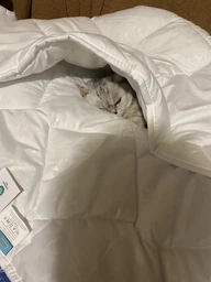 Набор Sleepingg Одеяло всесезонное полуторное 140х210 см антиаллергенное волокно + подушка 50х70 см Белый (4820227283224) фото от покупателей 4