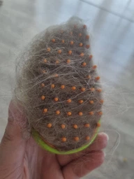 Щетка-расческа с паром для вычесывания шерсти животных Massage comb Зеленая фото от покупателей 1