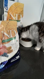 Сухой корм Farmina (Фармина) N&D Low Grain Cat Lamb & Blueberry Adult-1.5 кг фото от покупателей 4