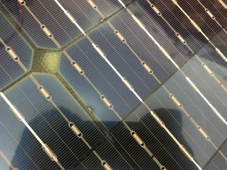 Солнечная батарея JACKERY Solar Saga 80W фото от покупателей 5