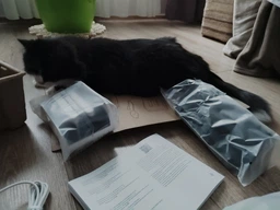 Робот-пилосос Xiaomi Robot Vacuum S10 Plus з док станцією вологе та сухе прибирання фото от покупателей 9