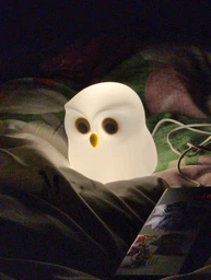 Нічник Cute Owl LED Shinedo SD-SR130 USB Type-C