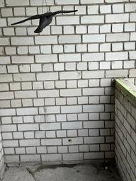 Отпугиватель птиц Bradas Ворона в полете 61 х 44 х 13 см (CTRL-BR102) фото от покупателей 2