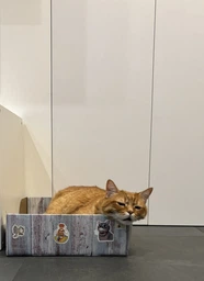 Кігтеточка-ліжко Trixie з котячою м'ятою картон 45х12х33 см (4011905480138) фото від покупців 3