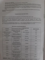 Мощная сушилка для фруктов и овощей Zepline Z800WB профессиональная сушка дегидратор для ягод яблок грибов и других продуктов с 5 уровнями сушки фото от покупателей 5