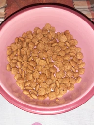 Сухой корм для кошек при заболеваниях почек на ранних стадиях Purina Pro Plan Veterinary Diets NF - Renal Function Early Care Feline 1.5 (кг) фото от покупателей 2