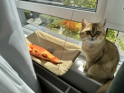 Подвесная лежанка - гамак для кошек Window Mounted Cat Bed