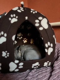 Мягкий домик для собак и кошек Pet Toys Hut 27х27 см Синий фото от покупателей 6