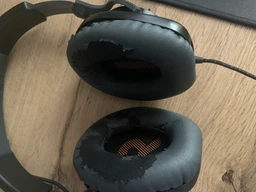 Навушники JBL Quantum 100 Black (JBLQUANTUM100BLK) фото від покупців 1