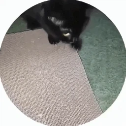 Когтеточка для кота кошек дряпка царапка картонная лежанка когтедралка точилка для когтей кошки котов VMHouse напольная когтеточки когтедралки из картона гофрокартона (0070-0101) фото от покупателей 8