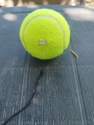 Тенісний тренажер Tennis Trainer Lion T-1 фото від покупців 3