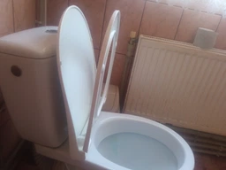 Сидіння для унітазу NKP з термопласту серія Slim Inci з мікроліфтом 0338 фото від покупців 6