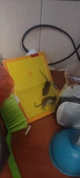 Клеевая ловушка для мышей IREX Mouse Book 1 шт