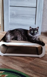Когтеточка (царапка) – лежанка для кошек GoldCat L 59 х 25 x 19 см фото от покупателей 8