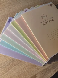 Набір предметних зошитів ZiBi Pastel 48 аркушів у клітинку 8 предметів 10 шт (ZB.1701-99) фото від покупців 9
