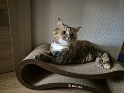 Кігтеточка лежанка з картону з дерев'яним фасадом Cat Joy Авангард Коричнева 59х18х25 см фото від покупців 6