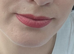 Матовая жидкая помада для губ L'Oreal Paris Infallible Matte Resistance № 120 5 мл (30146921)