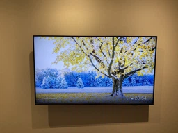 ТБ Philips 50PUS8818/12 фото від покупців 3