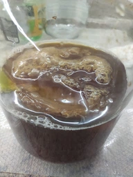 Продукт Чайний гриб KomBUCHA BOX 1 шт на 3л банку фото від покупців 8