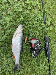Котушка Daiwa 23 Ninja LT 6000 фото від покупців 2