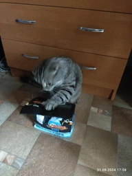 Беззерновой Корм для Стерилизованных Кошек со Свежим Мясом happyOne Mediterraneum Sterilized Cat Fresh Meat 2 кг фото от покупателей 3