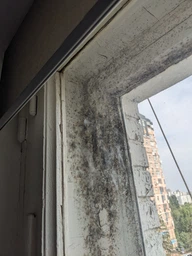 Спрей для чистки ванн Cillit Bang Trigger для удаления черной плесени 750 мл (5900627067309) фото от покупателей 16