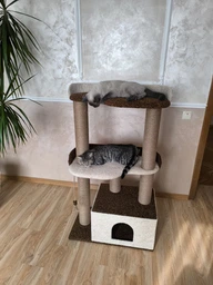 Когтеточка для котов и кошек всех пород с большим домиком, гамак 115х70х40см серо белый фото от покупателей 3