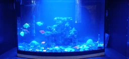 LED светильник Xilong T4-30E Blue 2.5Вт 26.5 см Синий