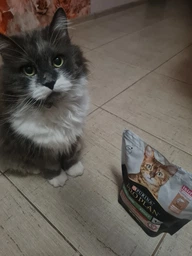 Сухой корм для стерилизованных кошек Purina Pro Plan Sterilised Senior 7+ с индейкой 10 кг фото от покупателей 4