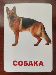 Карточки Домана ''Домашние животные'' на украинском языке, в наборе 15 карточек фото от покупателей 12