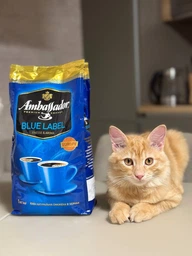 Кофе натуральный жареный в зернах «Blue Label», 1000 g ТМ TM Ambassador фото от покупателей 19