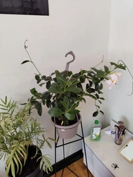 Підставка металева для квітів/вазонів Stand-flower-313 Комплект (3шт.) фото от покупателей 5