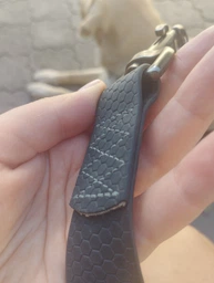 Повідець для собак WAUDOG Waterproof (ВАУДОГ Вотерпруф) водостійкий 305 см 25 мм Блакитний (27342) фото від покупців 10