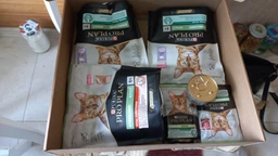 Сухой корм Purina Pro Plan Sterilised с кроликом для стерилизованных кошек и кастрированных котов 1,5 кг фото от покупателей 18