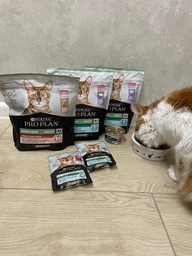 Консервированный корм Purina Pro Plan Veterinary Diets Sterilised Кусочки в паштете с тунцом и лососем для стерилизованных кошек 85 г (8445290173287)
