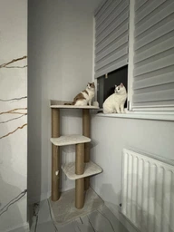 Котячий комплекс кігтеточка з великою лежанкою оббитий зносостійкою турецькою тканиною 120х60х45см сірий фото від покупців 3