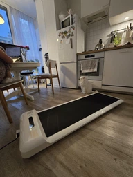 Доріжка для ходьби Xiaomi KingSmith WalkingPad С2 White (WPS1F WHITE) (6970492712092) фото від покупців 6