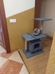 Будиночок кігтеточка для кота кішки котика дряпка царапка Мур Мяу Буржуй 40 х 60 х 96 см кігтедралка вертикальна котяча точилка для кігтів котів кішок котиків у джутовій мотузці з будиночком лежанкою та клубочком дражнилкою сірий МТ будиночки кігтеточки фото від покупців 13
