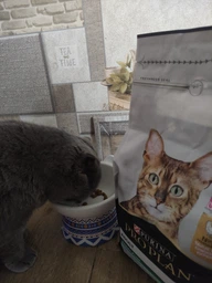 Сухой корм для котов Purina Pro Plan Adult 1+ Renal Plus с курицей 1.5 кг (НФ-00000364) фото от покупателей 9
