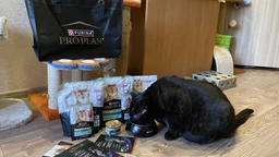 Сухой корм для стерилизованных кошек Purina Pro Plan Sterilised Senior 7+ с индейкой 10 кг фото от покупателей 2
