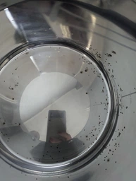 Каструля Krauff Prime Chef 2.1 л 16 см (26-303-007)