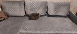 Покрывало-накидка Руно VeLour Серое 160х90 см Двустороннее Велюровое (Р16090.55_Grey) фото от покупателей 3