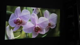 Портитивний міні смарт проектор Smart Projector Ultra HD до 130 дюймів, HDMI-сумісний, повна підтримка Android та iOS, Bluetooth 5.0, Wi-Fi, мультимедійний домашній кінотеатр 300 ANSI люмен фото від покупців 1